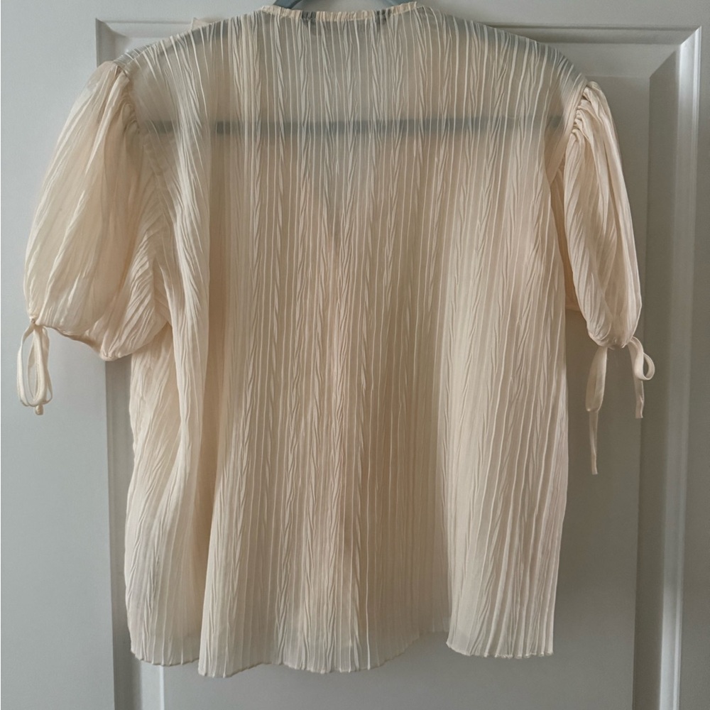 Zara Cream Pleated Ruffle V-Neck Blouse - Picture 3 of 8